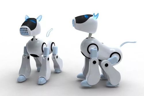 從藝術(shù)考場到職場賽道 探索藝考后的多元職業(yè)路徑——以教學(xué)用模型及教具銷售為例