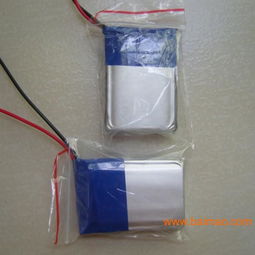 聚合物鋰電池 車載充電機(jī)的理想伙伴——從生產(chǎn)廠家到價(jià)格解析