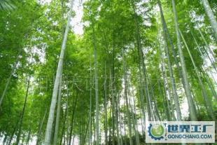 綠化苗木竹子《毛竹》《叢生毛竹》《竹苗》基地_農(nóng)副產(chǎn)品_世界工廠網(wǎng)中國產(chǎn)品信息庫